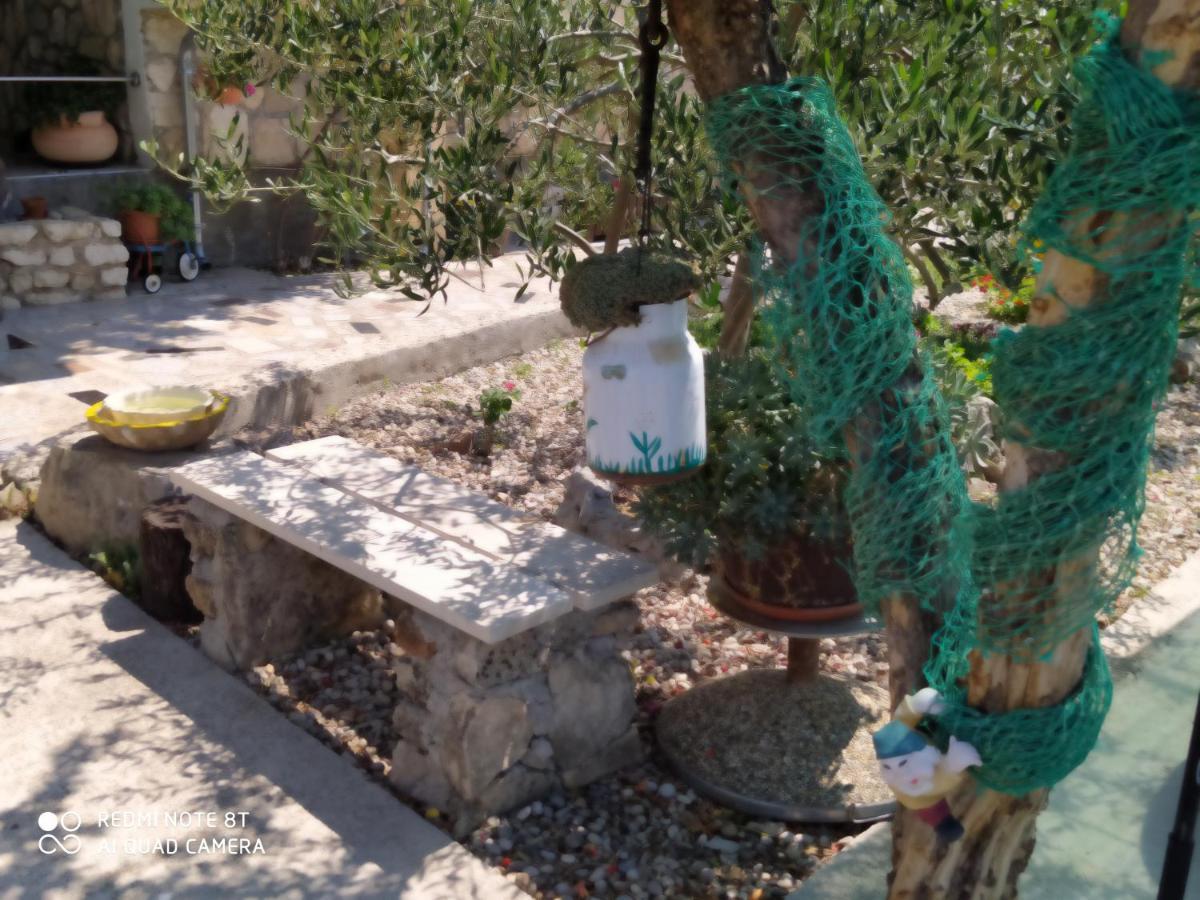 Ante * Tribunj (Sibenik-Knin)