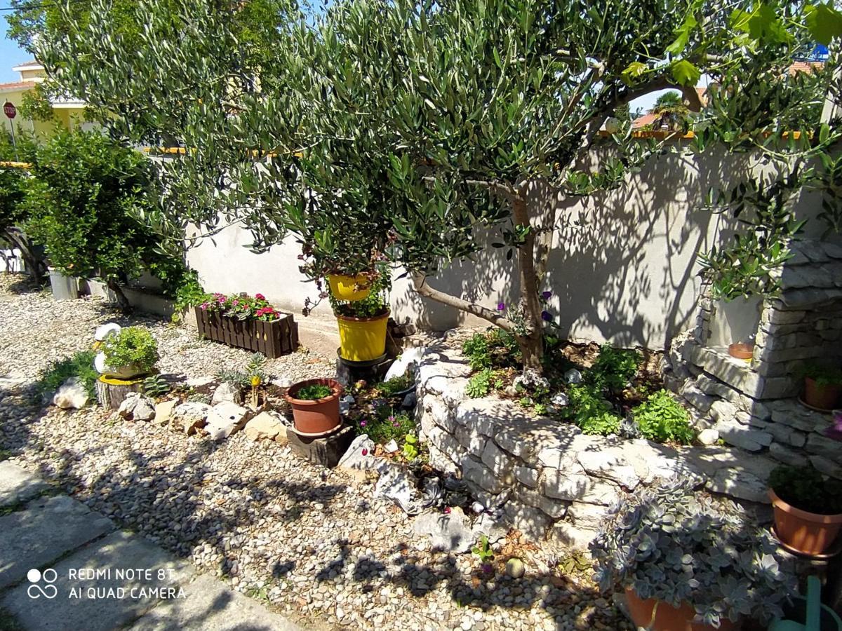 Ante Tribunj (Sibenik-Knin)